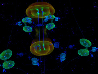 Similar image 22019686