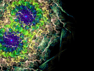 Similar image 22019737