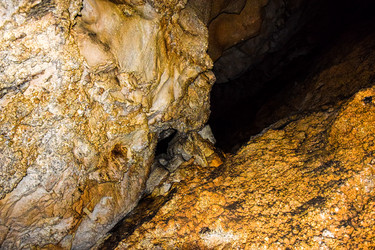 Similar image 21994741