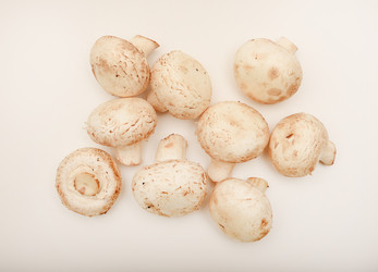 Similar image 21993964