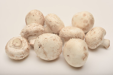 Similar image 21993967