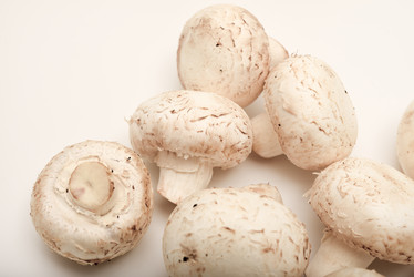 Similar image 21993968