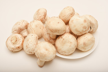 Similar image 21993969