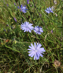 Similar image 21994746