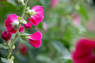 Similar image 22006914