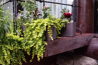 Similar image 22006916