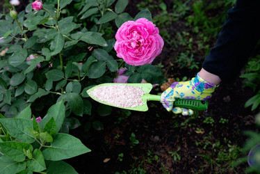 Similar image 22006920