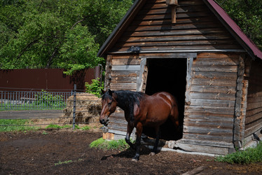 Similar image 22006921