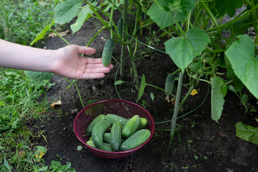 Similar image 22006925