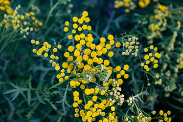 Similar image 22006928