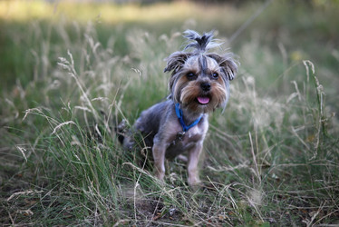 Similar image 22006931