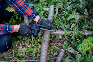 Similar image 22006939