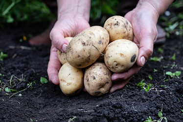 Similar image 22006941