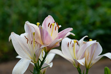 Similar image 22006942