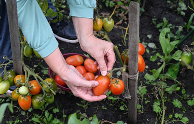 Similar image 22006943