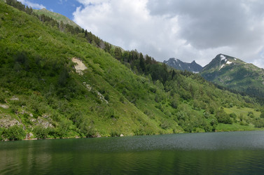 Similar image 21995935