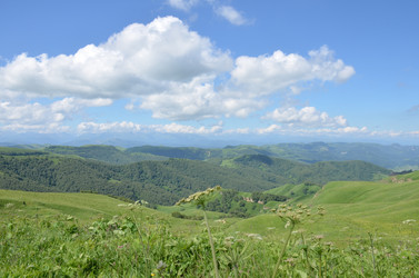 Similar image 21995936