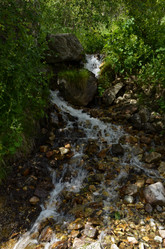 Similar image 21996238