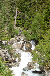 Similar image 21996246