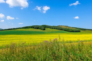 Similar image 21994773