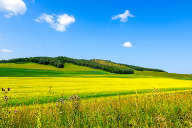 Similar image 21994774