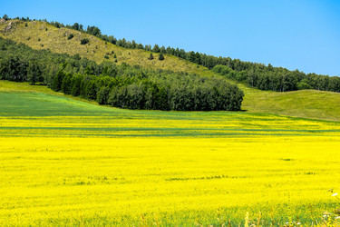 Similar image 21994775