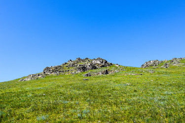 Similar image 21994827