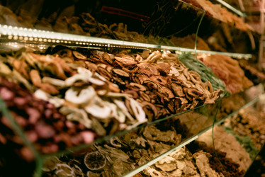 Similar image 21995220