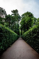 Similar image 21995222