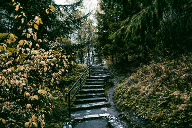 Similar image 21995231