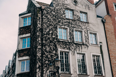 Similar image 21995240