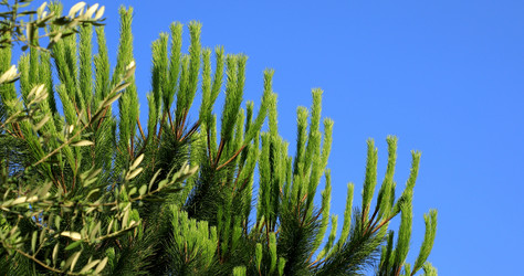 Similar image 21995844