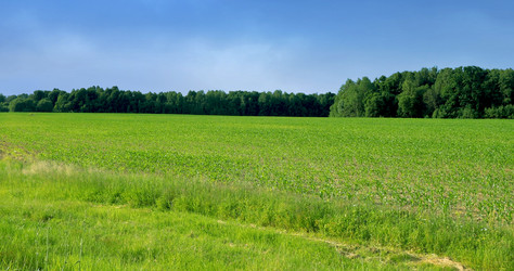 Similar image 21995847