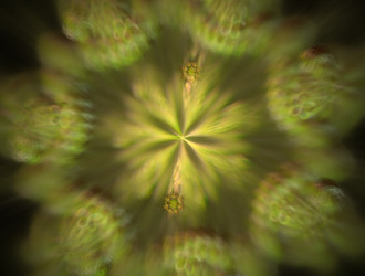 Similar image 22019273