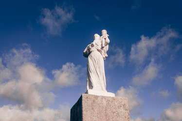 Similar image 21997016