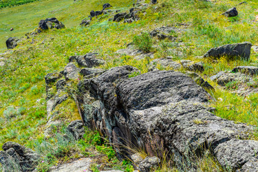 Similar image 21996000