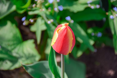 Similar image 21996015