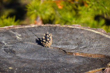 Similar image 21996017