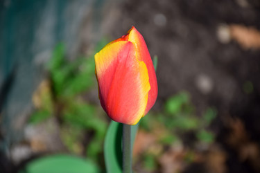 Similar image 21996018