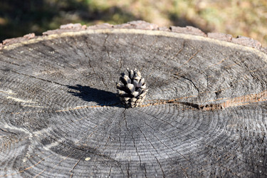 Similar image 21996020