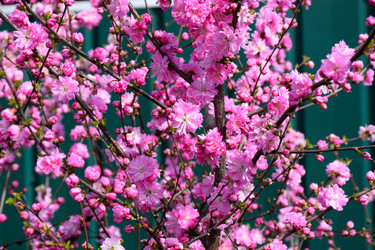 Similar image 21996021