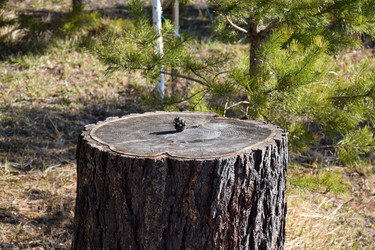 Similar image 21996022