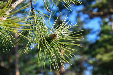 Similar image 21996024