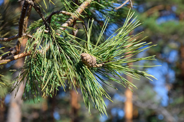 Similar image 21996025