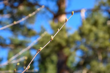 Similar image 21996026