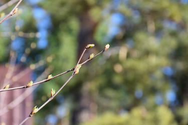 Similar image 21996027