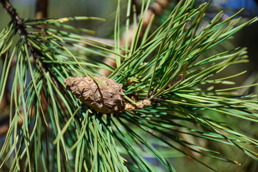 Similar image 21996029