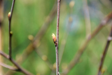 Similar image 21996030