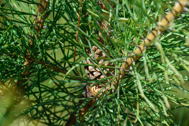 Similar image 21996031