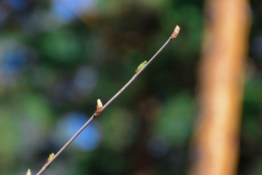 Similar image 21996032